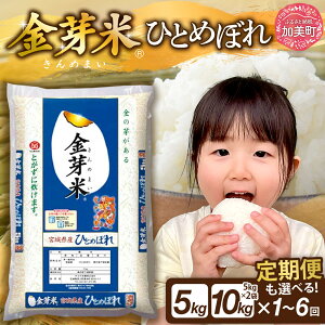 �y�ӂ邳�Ɣ[�Łz ����� 5kg / 10kg ����� �s�I�ׂ�z���� 1�`6��t �{�錧�Y �ЂƂ߂ڂ� ������ �ߘa7�N�Y �V�� [�{�錧 ������ ] ����߂܂� 3���� 6���� ���� ���� �R�� ���� ���� ���� ���N