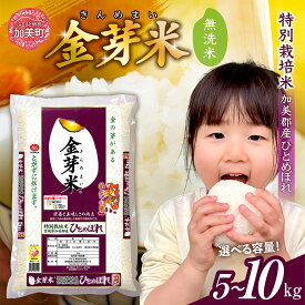 【ふるさと納税】 金芽米 無洗米 5kg / 10kg (5kg×2袋)/ 20kg(5kg×4袋) 先行予約 令和7年産 米 ひとめぼれ 特別栽培米 宮城県 加美産 [ 宮城県 加美町 km-km-knm ] きんめまい お米 こめ コメ 精米 白米 玄米 健康 栄養 低カロリー 時短 子供 エコ 便利 ごはん カメイ