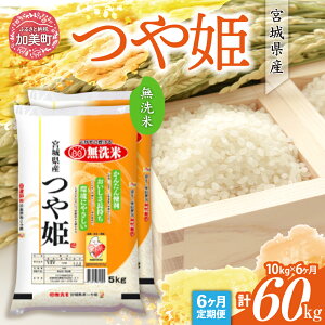 yӂ邳Ɣ[Łz  P 10kg   Iׂs ߘa6NY / V ߘa7NY ts 1 / 3 / 6 t( 5kg ×2)  {錧Y [JC {錧  ]   R   