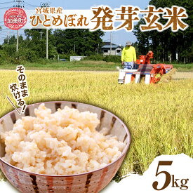 【ふるさと納税】発芽玄米 簡単に炊ける 宮城県産 ひとめぼれ 発芽 玄米 5kg （ 1kg × 5袋 ） / 菅原商店 / 宮城県 加美町 白米 に 混ぜる だけ ！ 簡単 炊飯 玄米 sg-hb05-hg