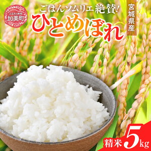 yӂ邳Ɣ[ŁzV  ߘa6NY {錧Y ЂƂ߂ڂ  5kg ` 20kg | 2 ` 3  (10kg ` 60kg) | sg00001-r6 Xb {錧 