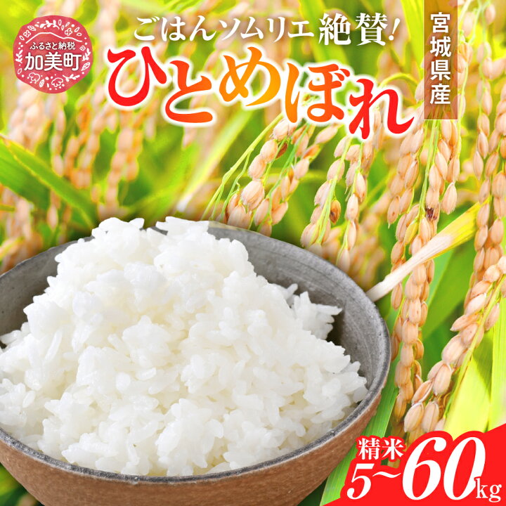 楽天市場】【ふるさと納税】新米 白米 令和6年産 宮城県産 ひとめぼれ  