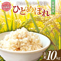 楽天市場】宮城 ひとめぼれ 玄米 10キロの通販