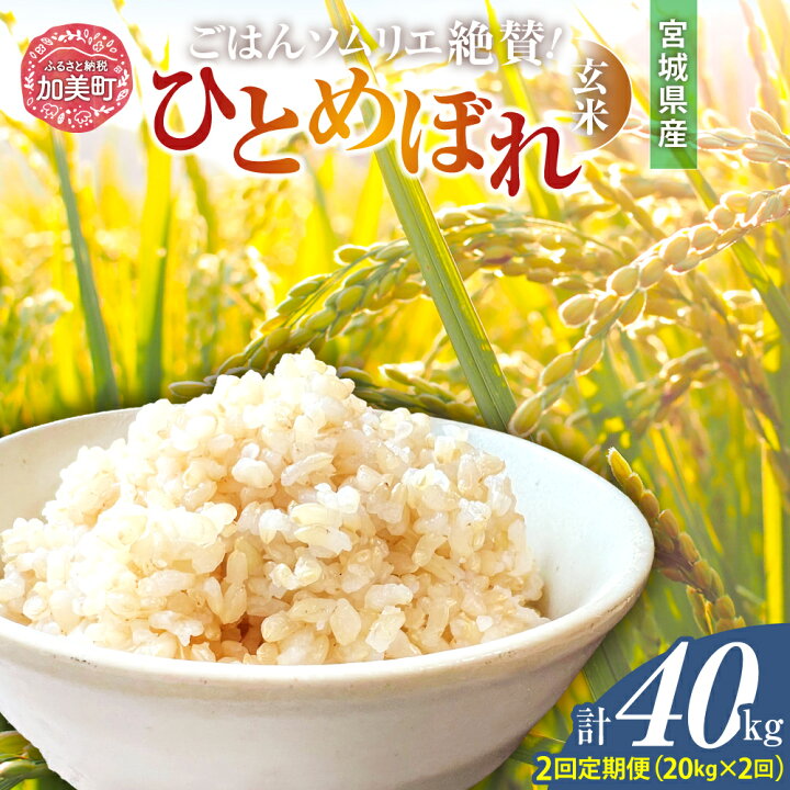 楽天市場】【ふるさと納税】玄米 米 令和6年産 宮城県加美町産  