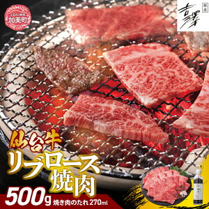 yӂ邳Ɣ[Łz ē gV {錧  Y 䋍 u[X ē Zbgi500gjt  Mtg 蕨  Ε X C`IV ʌ