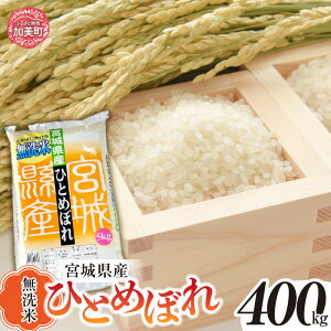 yӂ邳Ɣ[ŁzsԌ tz t   ߘa7NY V \ 5kg 10kg 20kg ЂƂ߂ڂ Iׂ 1`12  {錧Y b 6 3 12 40kg 60kg 80kg 100kg`400kg   