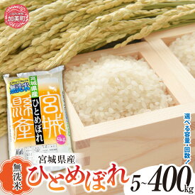 【ふるさと納税】 無洗米 定期便 令和7年産 新米 予約 5kg 10kg 20kg ひとめぼれ 選べる回数 1〜12回 米 宮城県産 ｜ 6ヶ月 3ヶ月 12ヶ月 40kg 60kg 80kg 100kg〜400kg 白米 小分け ヒトメボレ コメ 精米 時短 菅原精米工業 [ 宮城県 加美町 ]
