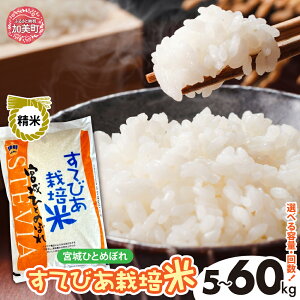 yӂ邳Ɣ[Łz 5kg 10kg s ߘa7N s\ t    { ЂƂ߂ڂ Iׂe b {錧Y XerA Ăт͔| qg{  Ǝ_@  [ {錧 