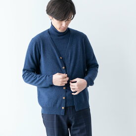 【ふるさと納税】服 メンズファッション Vネック カーディガン 度詰 男性用 M L LL カシミヤ100% メンズ ニット セーター ギフト プレゼント 秋 冬 長袖 最高級 薄手 無地 シンプル ≪白田のカシミヤ≫