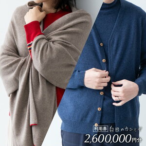 yӂ邳Ɣ[ŁzJV~ p y25~`260~zᔒc̃JV~ JV~ 100 ō jbg }t[ Xg[ fB[X Y fB[Xt@bV j  Mtg