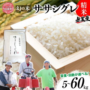 yӂ邳Ɣ[ŁzV     i  ߘa7N {錧Y TTVO _ ͔|Ԓ _  sgp  5kg 10kg Pi 3 6  [ {錧  ]    R 