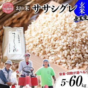 yӂ邳Ɣ[ŁzV     i ߘa7N {錧Y TTVO ͔|Ԓ_ 엿 sgp _  5kg 10kg Pi 3 6   Iׂ [ {錧  ]   