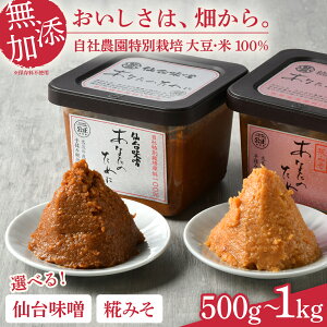 yӂ邳Ɣ[Łz X Y ݂ 䖡X X Ȃ̂߂ Hה Zbg eʂIׂ! 500g 1kg X` Y Hׂ ĖX   ~\ Ă݂ ݂` XЂ aH 