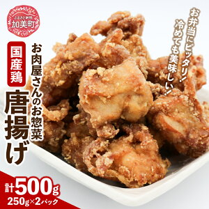 yӂ邳Ɣ[Łzg ŷy؁zY{g 250g×2p v500g [֐{Y {錧  44581356] Y {̓g 炠 W y ٓ ȒP Ⓚ