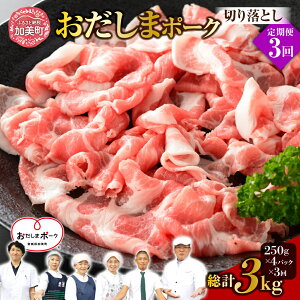 yӂ邳Ɣ[Łzs 3  t {錧Yuh ܃|[N ؂藎Ƃ 250g × 4pbN i 1kg j × 3 v 3kg b ֐{Y {錧  ؓ |[N   44581347