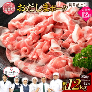 yӂ邳Ɣ[Łzs 3 ~ 12  t {錧Yuh ܃|[N ؂藎Ƃ 250g × 4pbN ( 1kg ) × 3 ~ 12 v 3kg ~ 12kg b ֐{Y {錧  ؓ |[N  