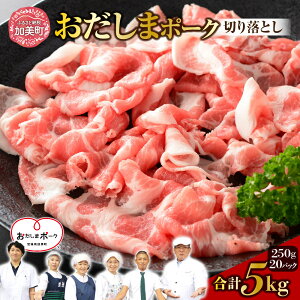 yӂ邳Ɣ[Łzؓ  ؂藎Ƃ Ԑ؂ Y Iׂ 250g 500g 1kg 2kg 3kg 5kg ܃|[N [֐{Y {錧  ss-opko]  Ⓚ Ԑ؂ 5000~ 10000~ ȉ |[N {錧Y u