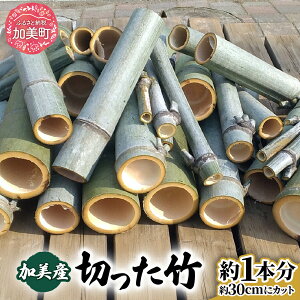 yӂ邳Ɣ[Łz| E\E`N k̒| Rf Y ؂肽 VN 荂 H H CeA DIY | Ntg [ Ă݂z {錧  ]