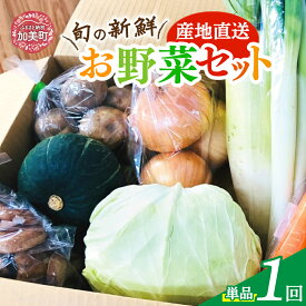 【ふるさと納税】産地直送！旬の新鮮野菜セット（8品程度） [やくらい土産センター 宮城県 加美町 44581299] 野菜 やさい 旬 旬野菜 季節野菜 新鮮 セット