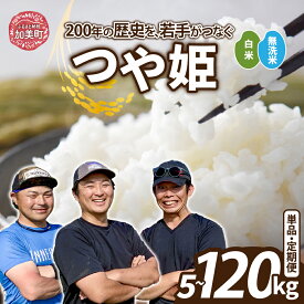 【ふるさと納税】 つや姫 無洗米 も選べる！ 5kg / 10kg 《 定期便 も選べる》 新米予約 ｜ 令和8年産 2026年10月中旬～発送 米 定期便【選べる内容量/配送回数】1～12回 3ヶ月 6ヶ月 12ヵ月 農家直送 ブランド米 白米 精米 ご飯 家庭用 ［ 宮城県 加美町 結心ファーム
