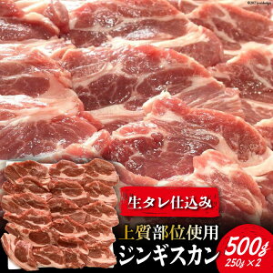 yӂ邳Ɣ[Łzy㎿ʎgpz^d݃WMXJ 500gi250g×2j [֐{Y {錧  44581341] WMXJ  r  [X ē o[xL[ BBQ AEghA