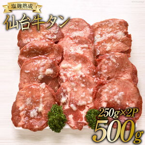 yӂ邳Ɣ[Łz^ XCX d 250g×2P [֐{Y {錧  44581339]    t ē BBQ