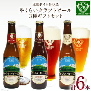yӂ邳Ɣ[Łz{hCcd݁₭炢Ntgr[ 6{Mtg(3×330ml e2{) [U {錧  44581320]