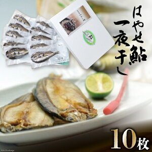 yӂ邳Ɣ[Łz{鈼H[{錧Y̋ɂ݁@Iu͂₹v銱@10 [{鈼H[ {錧  44581308]