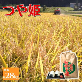 【ふるさと納税】☆総合ランキングイン☆ ≪先行予約≫ 【環境保全米】アグリとみたの 令和7年産 つや姫 精米 約28kg 米 お米 こめ 白米 ご飯 ライス つやひめ 産地直送 数量限定 ブランド米 送料無料