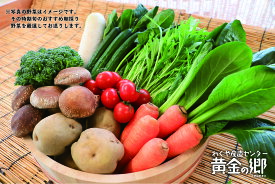 【ふるさと納税】黄金の郷　季節のお野菜お楽しみBセット【野菜・セット・詰合せ・野菜・きのこ】
