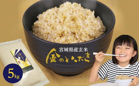 【ふるさと納税】金のいぶき玄米 5kg【玄米・お米】