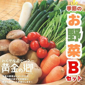 【ふるさと納税】黄金の郷 季節のお野菜 お楽しみBセット / 野菜 やさい セット 詰め合わせ 旬 新鮮 産地直送 朝採れ 送料無料 ※配送不可地域あり