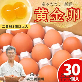 【ふるさと納税】 卵 たまご 産みたて新鮮卵 30個入り ※二黄卵3個以上入り！ | 卵 たまご 玉子 鶏卵 新鮮 濃厚 生卵 赤玉たまご 目玉焼き オムレツ 健康 産地直送 送料無料 ※沖縄・離島への配送不可
