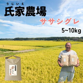 【ふるさと納税】 米 お米 令和7年産 氏家農場の幻のお米 ササシグレ 【玄米】選べる 5～10kg 玄米 ☆栽培期間中は化学肥料・農薬不使用☆ 数量限定 米 お米 こめ コメ 玄米 ご飯 ライス 産地直送 ブランド米 宮城県産 送料無料 ※2025年10月中旬頃より順次発送予定