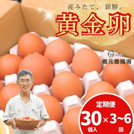 【ふるさと納税】卵 たまご 定期便 産みたて新鮮卵 30個入り 3回 6回 卵 たまご 玉子 鶏卵 新鮮 濃厚 生卵 赤玉たまご 目玉焼き オムレツ 健康 産地直送 定期便 送料無料 ※沖縄・離島への配送不可
