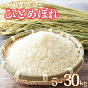 yӂ邳Ɣ[ŁzLOC Vė\ Ƃt@[ ߘa7NY ЂƂ߂ڂ 5~30kg  ꂵ Iׂe |       CX ЂƂ߂ڂ Y