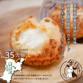 【ふるさと納税】美里町産の夏黄金（小麦粉）を使用した（カスタード）6個Coolな牛でシュー【べこでシュー　素材にこだわった美味しいシュークリームです】 | 菓子 おかし スイーツ デザート 食品 人気 おすすめ 送料無料