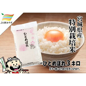 yӂ邳Ɣ[ŁzCs@ЂƂ߂ڂ 3kg |    Hi lC  