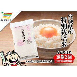 yӂ邳Ɣ[ŁzyցzCsЂƂ߂ڂ@5kg×3y3Ał͂z |    Hi lC  