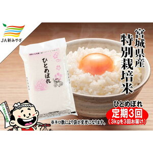 yӂ邳Ɣ[ŁzyցzCsЂƂ߂ڂ@3kg×3y3Ał͂z |    Hi lC  