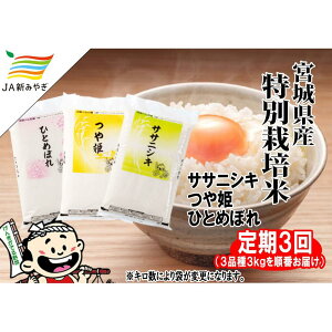 yӂ邳Ɣ[ŁzyցzCs@3i폇Ԃł͂iTTjVLEPEЂƂ߂ڂj@3kg×3y3Ał͂z |    Hi lC  