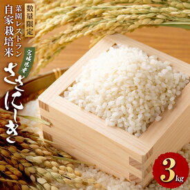 【ふるさと納税】【容量選択可】【令和6年産】数量限定 菜園レストラン「野の風」自家栽培米 ササニシキ3kg or 5kg | 米 食品 人気 おすすめ 送料無料