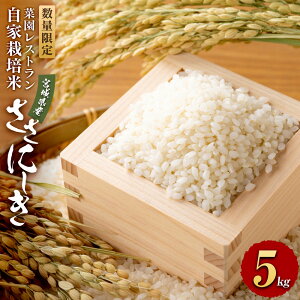 yӂ邳Ɣ[ŁzyeʑIzyߘa6NYzʌ ؉Xgu̕vƍ͔| TTjVL3kg or 5kg |  Hi lC  