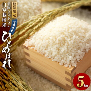 yӂ邳Ɣ[ŁzyeʑIzyߘa6NYzʌ ؉Xgu̕vƍ͔| ЂƂ߂ڂ3kg or 5kg |  Hi lC  