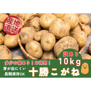 yӂ邳Ɣ[Łzy󂠂聚z\Ⴊ10kg