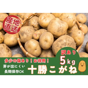 yӂ邳Ɣ[Łzy󂠂聚z\Ⴊ5kg