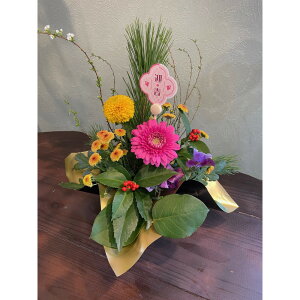 yӂ邳Ɣ[Łz炨͂VNʂ鐶ԃAWg`a`