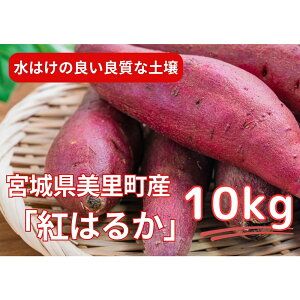 yӂ邳Ɣ[ŁzÂĂƂ聚܂(g͂邩)10kg |  ÂĂƂ ܂ g͂邩 {̖o R̊Â  ӂ邳Ɣ[