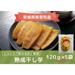 yӂ邳Ɣ[ŁzfVXt@[̊120g×5܃Zbg