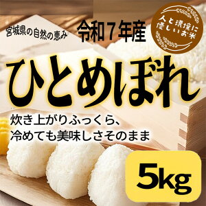 yӂ邳Ɣ[ŁzyeʑIzyߘa7NYЂƂ߂ڂz{錧Y@3kg5Kgyʌz@@@@